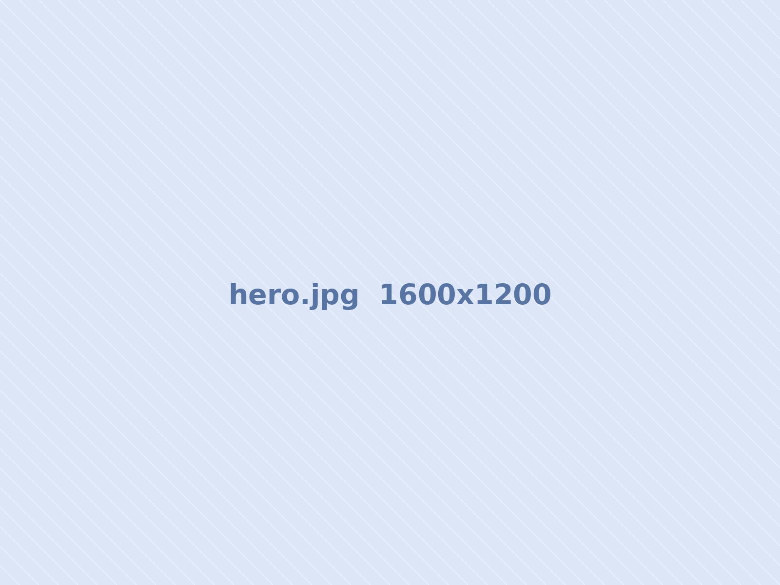 授業の様子